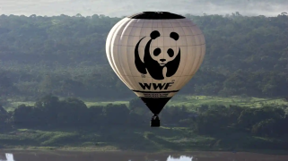A hot air balloon with the WWF logo and a panda on it
