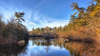 The Wolf River flowing through the Menominee Indian Reservation in Wisconsin, with trees in the background