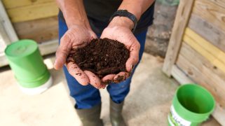 A pair of Black hands holds a handful of compost.