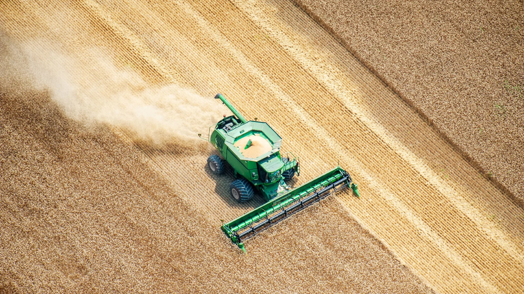 A green tractor plows through a golden wheat field.