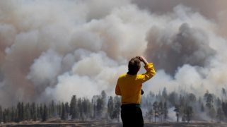 Figure in a yellow shirt stands with their back facing the camera. They look towards a smoky expanse of trees and clouds.