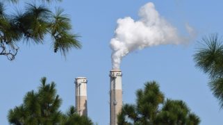 Two smoke stacks peek out of trees into a blue sky.