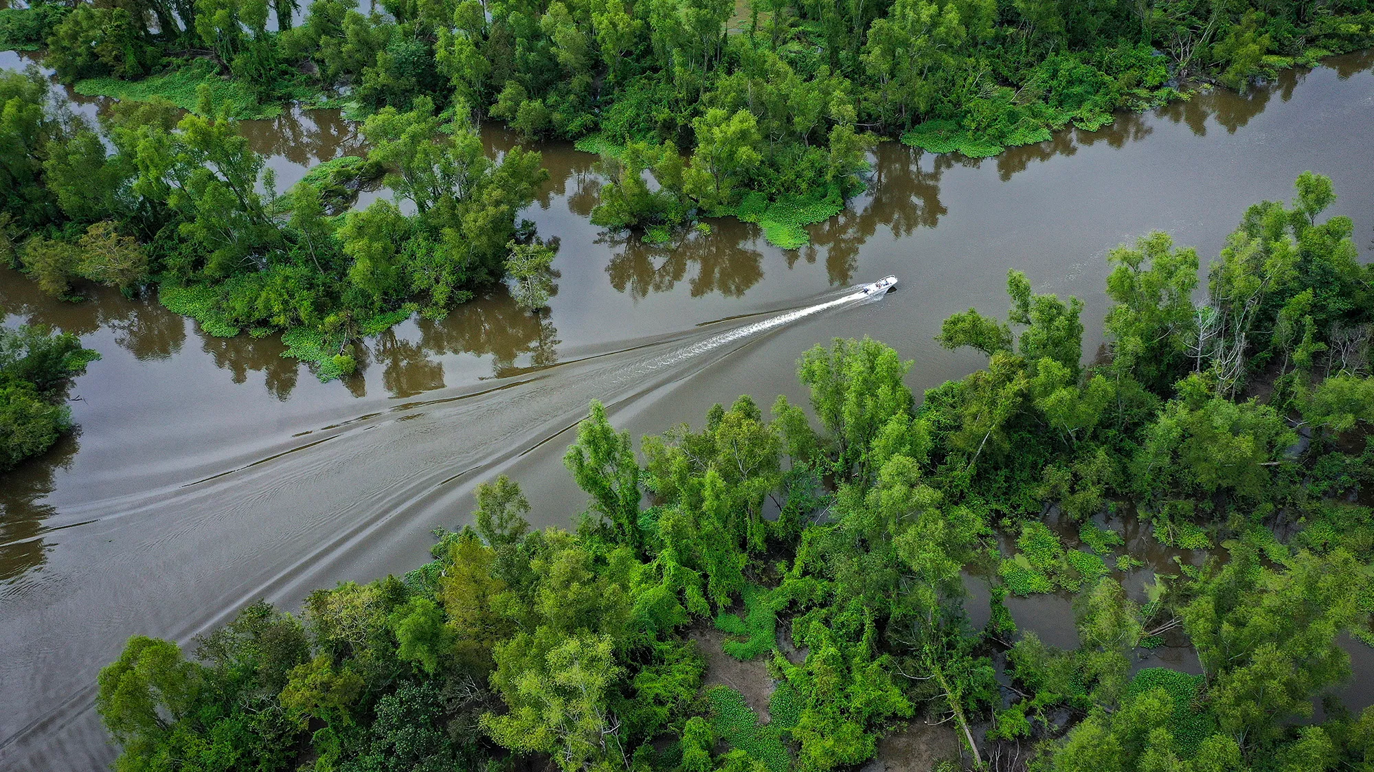 A boat drives through a river surrounded by greenery.