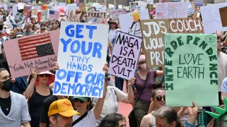 Signs that say "get your tiny hands off democracy" and "love earth"