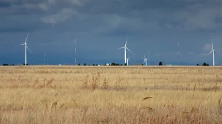 Wind turbines in front of a golden field
