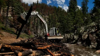 An excavator lifts up a log.