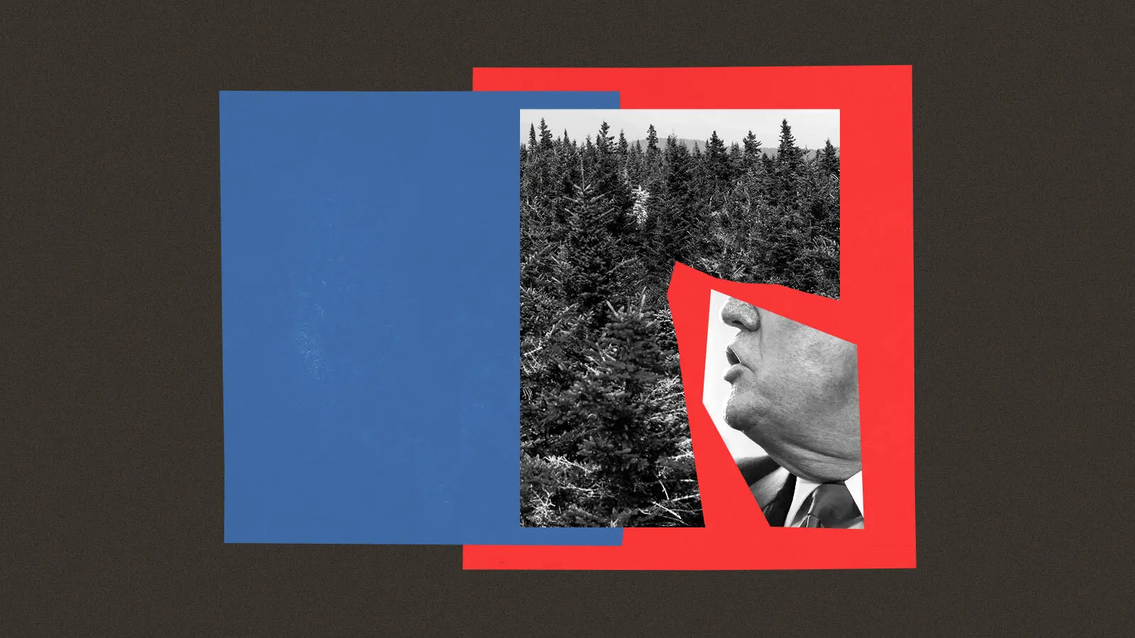 A red, blue, and brown illustration which includes trees and Trump's lower face.