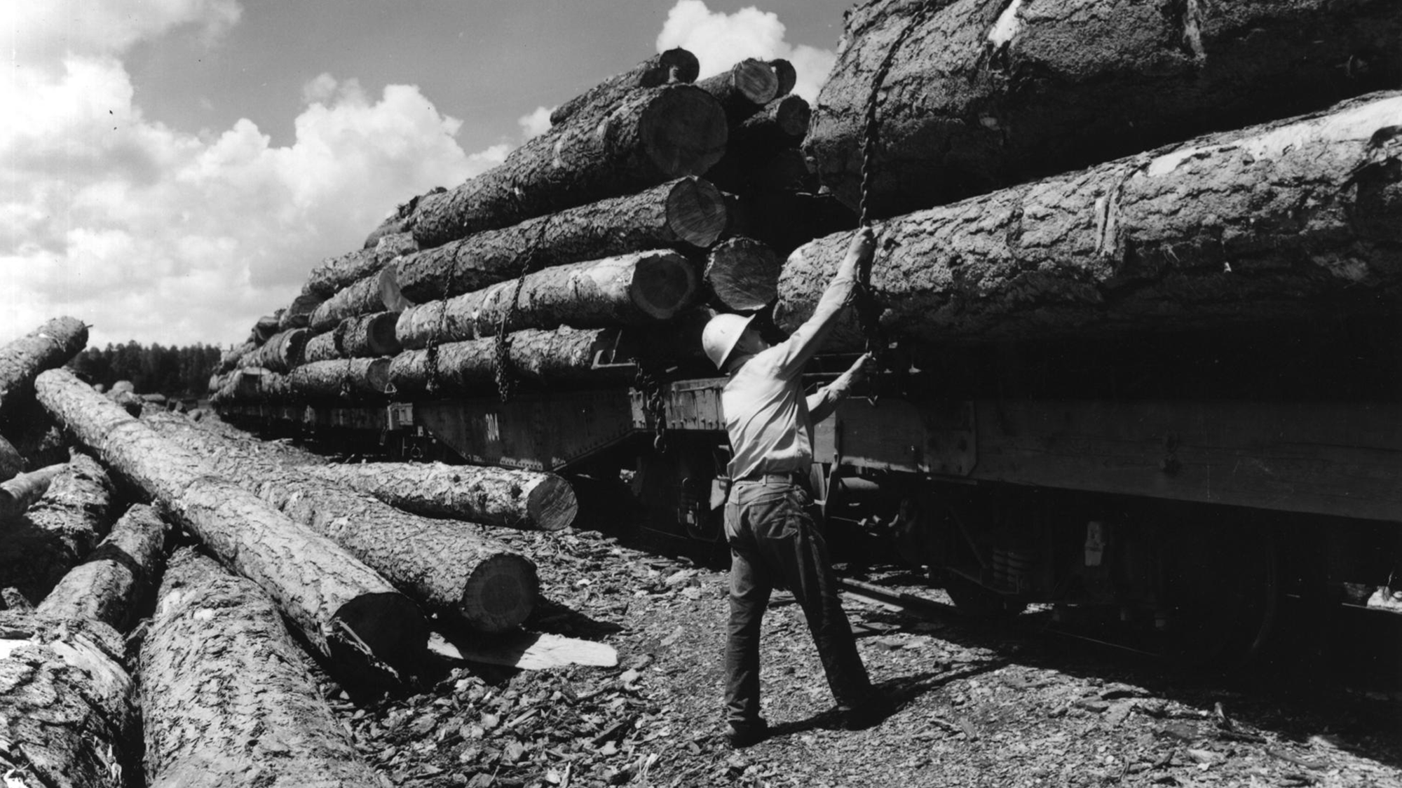 A black and white photo of a person with logs