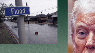 An illustration with part of Trump's face and a sign that says "Flood"